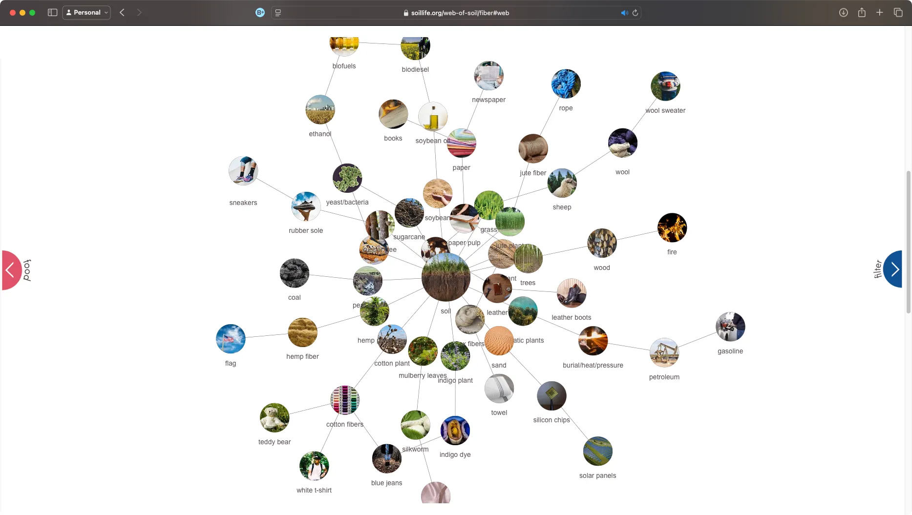 soil life - web graph
